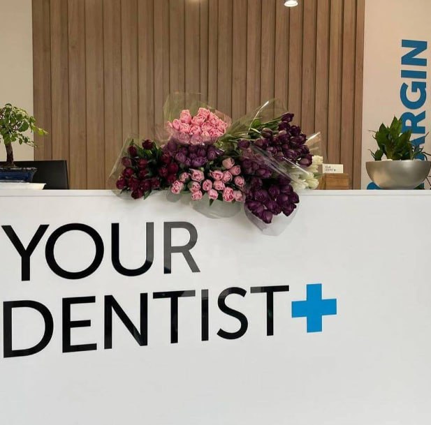 Your Dentist