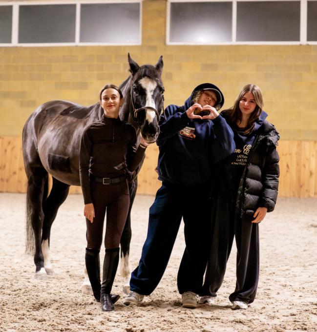 Lemberg Horse Club