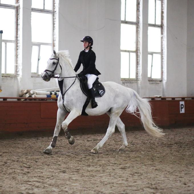Lemberg Horse Club