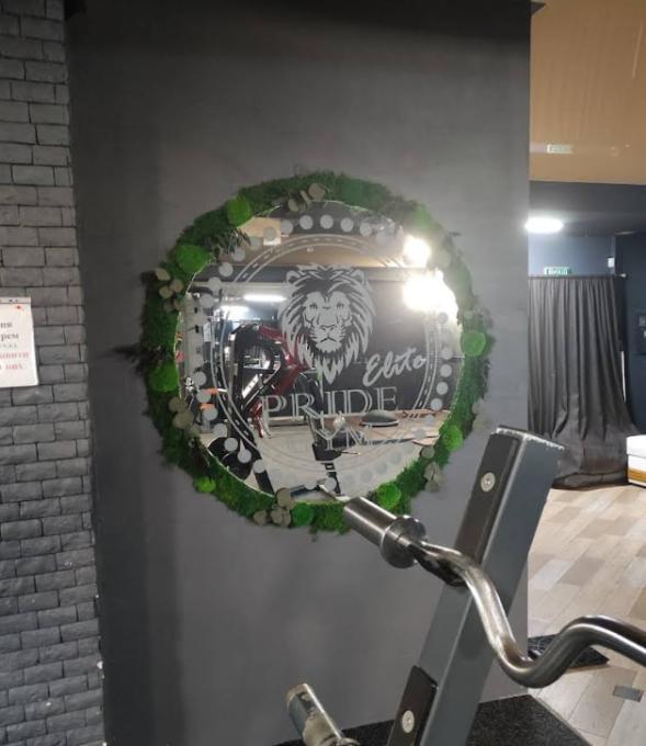 Pride Elite Gym