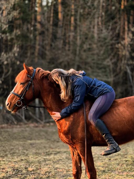 Horses Grand Amour