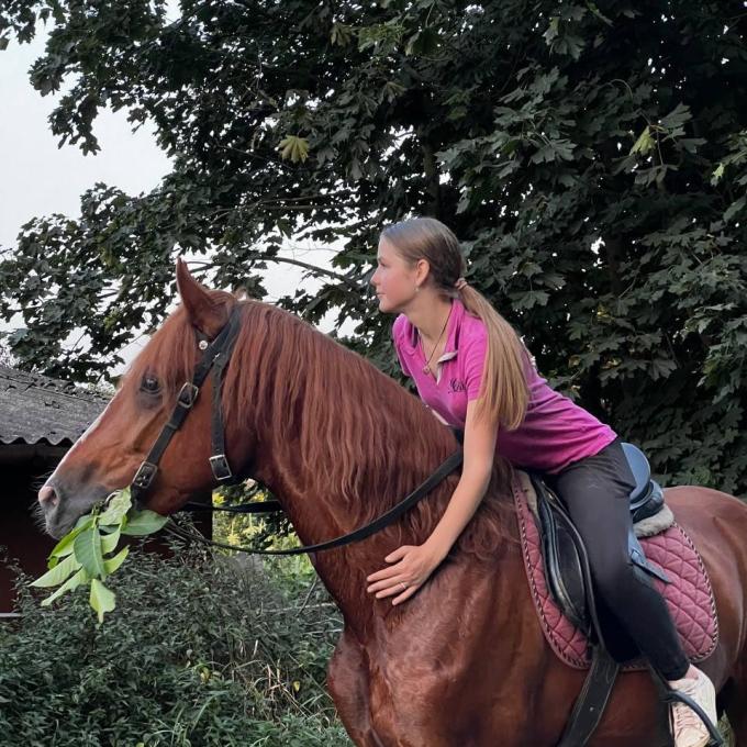 Horses Grand Amour