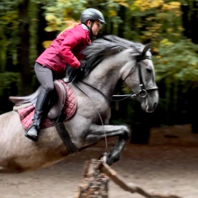 Horses Grand Amour