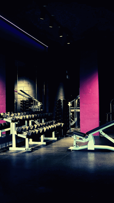 Purple Gym