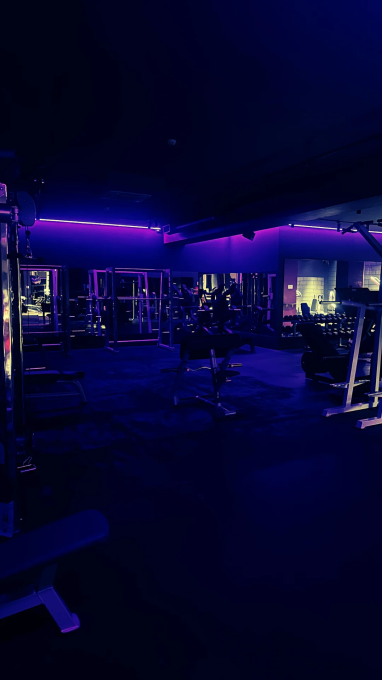 Purple Gym
