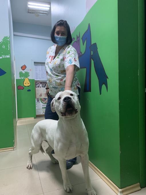 VETPULSE