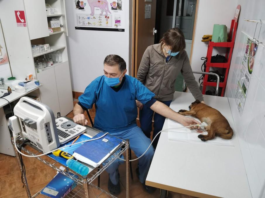 Ветклиника в Новоселках