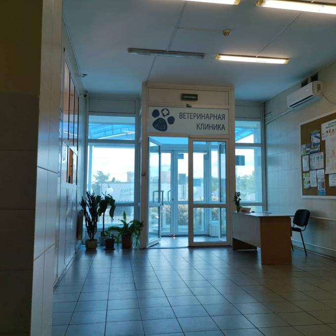 Киевская городская больница ветеринарной медицины