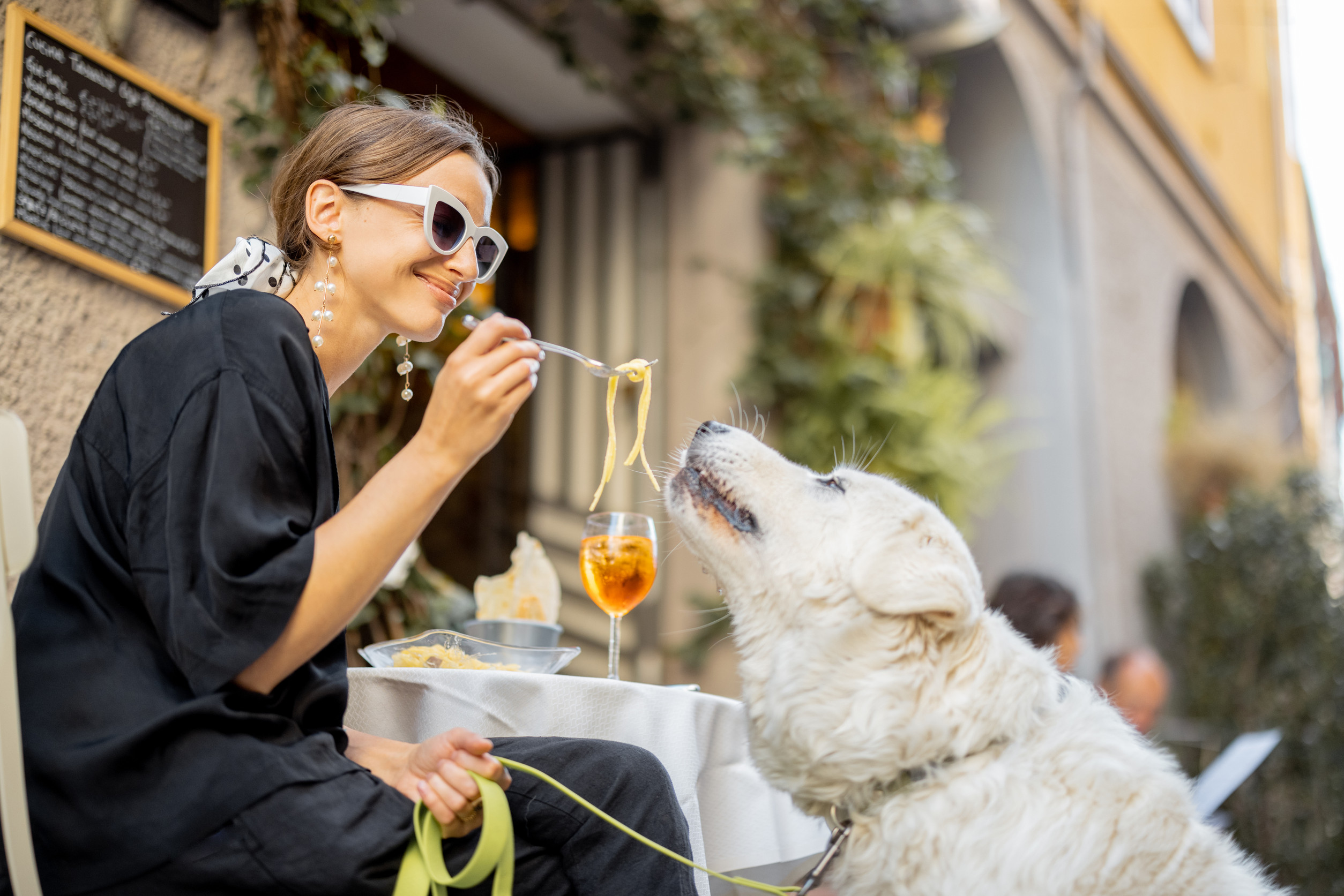 Pet-friendly