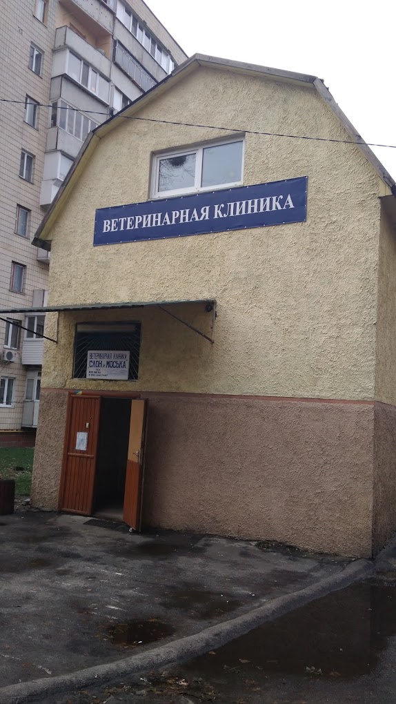 Слон і Моська
