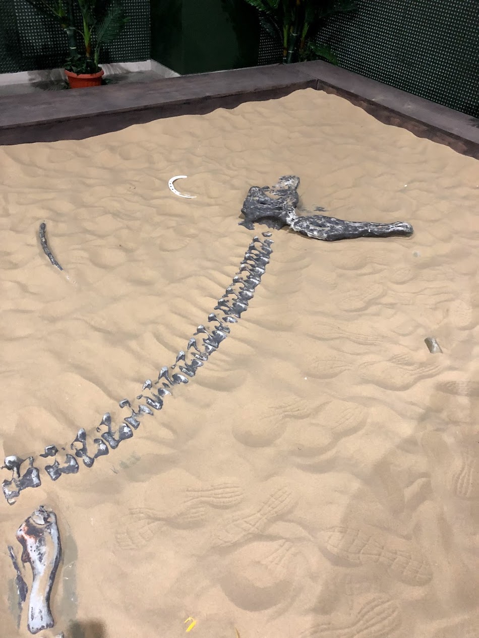 Dinopark