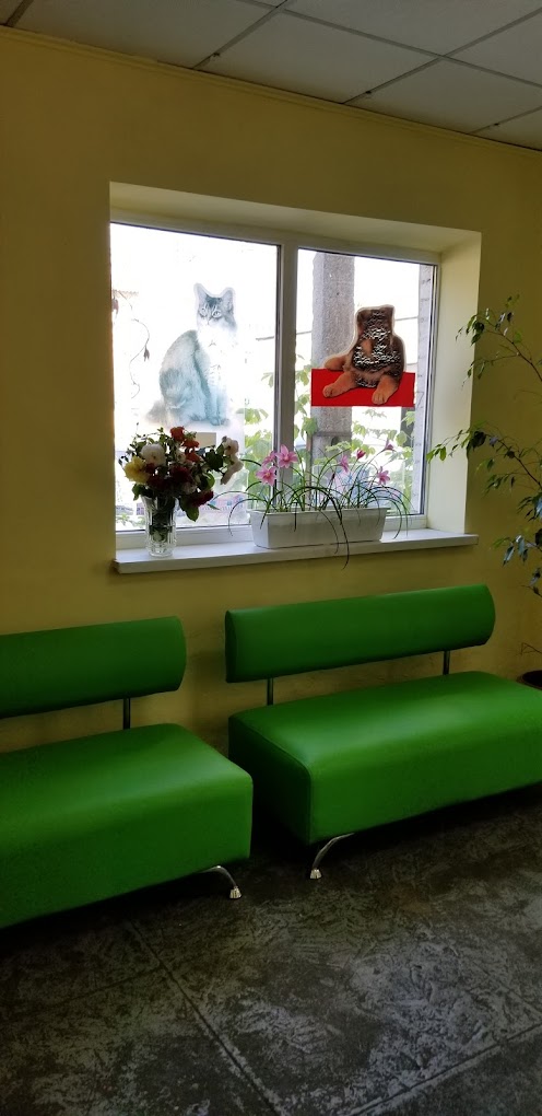 Ветлайф