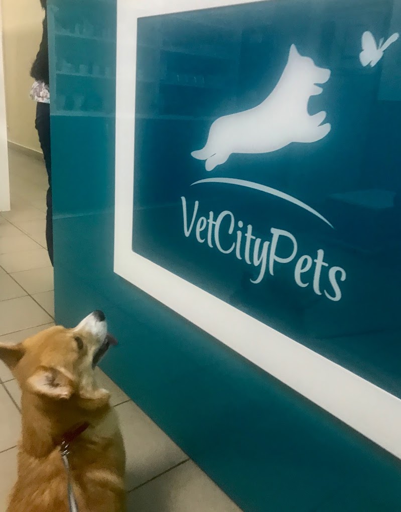 VetCityPets
