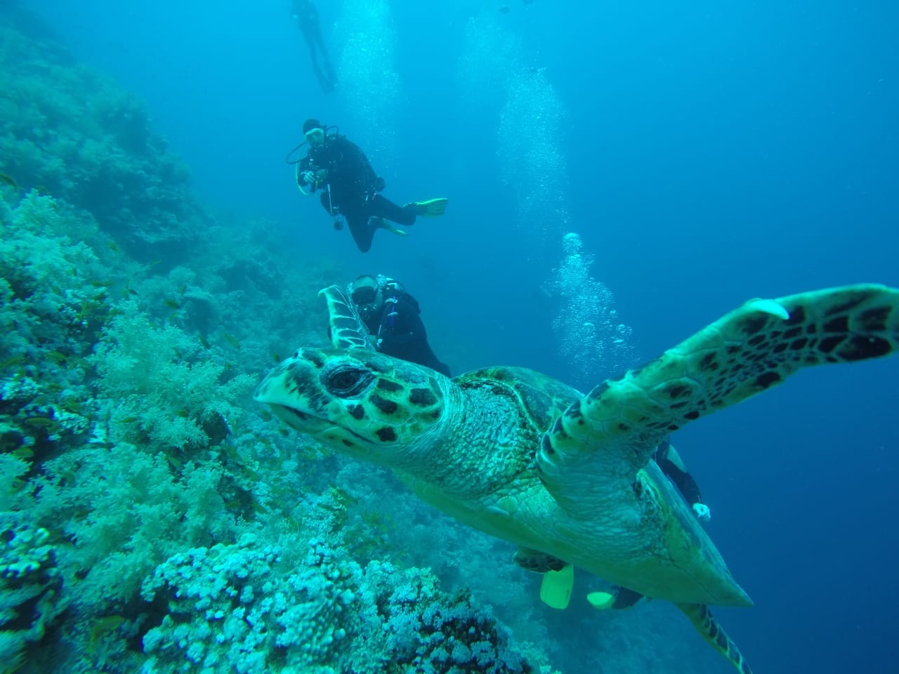 Diving.DJ