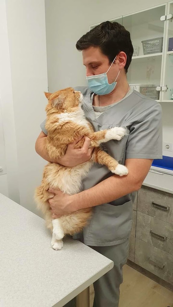 Cool Vet