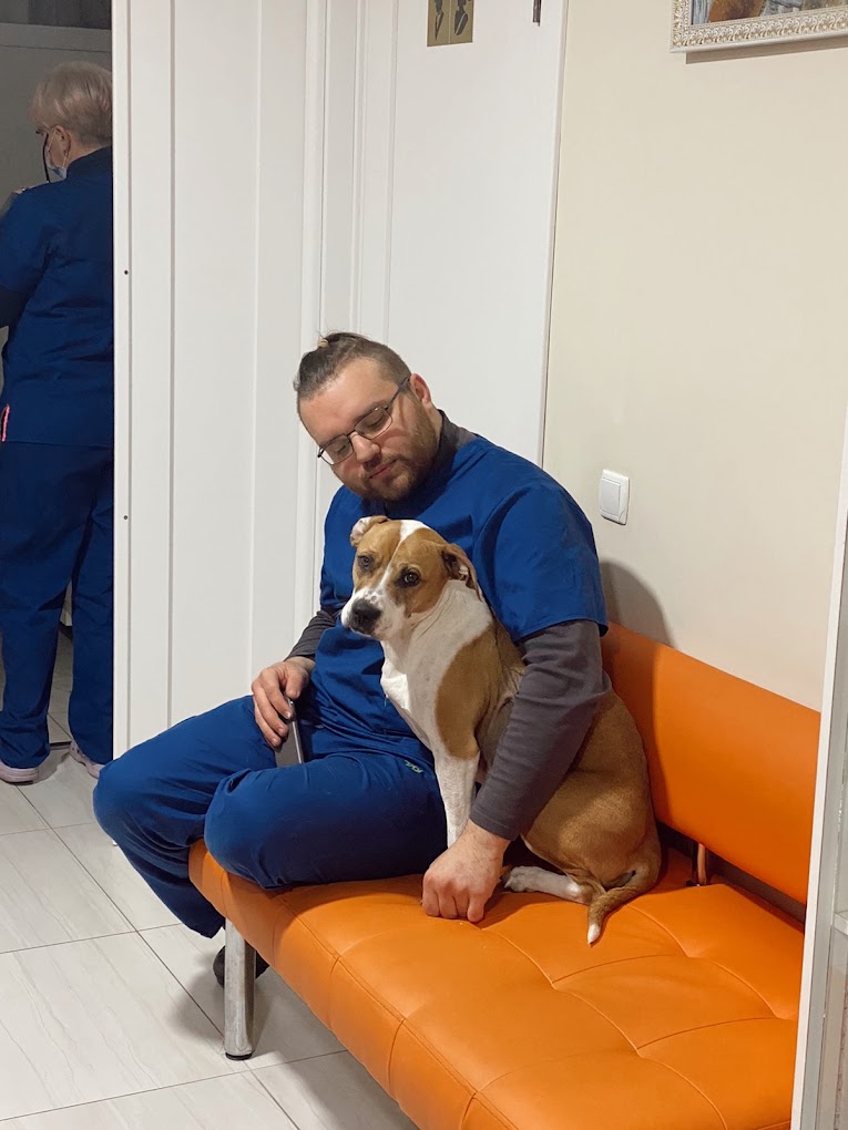 Рыжий Кот