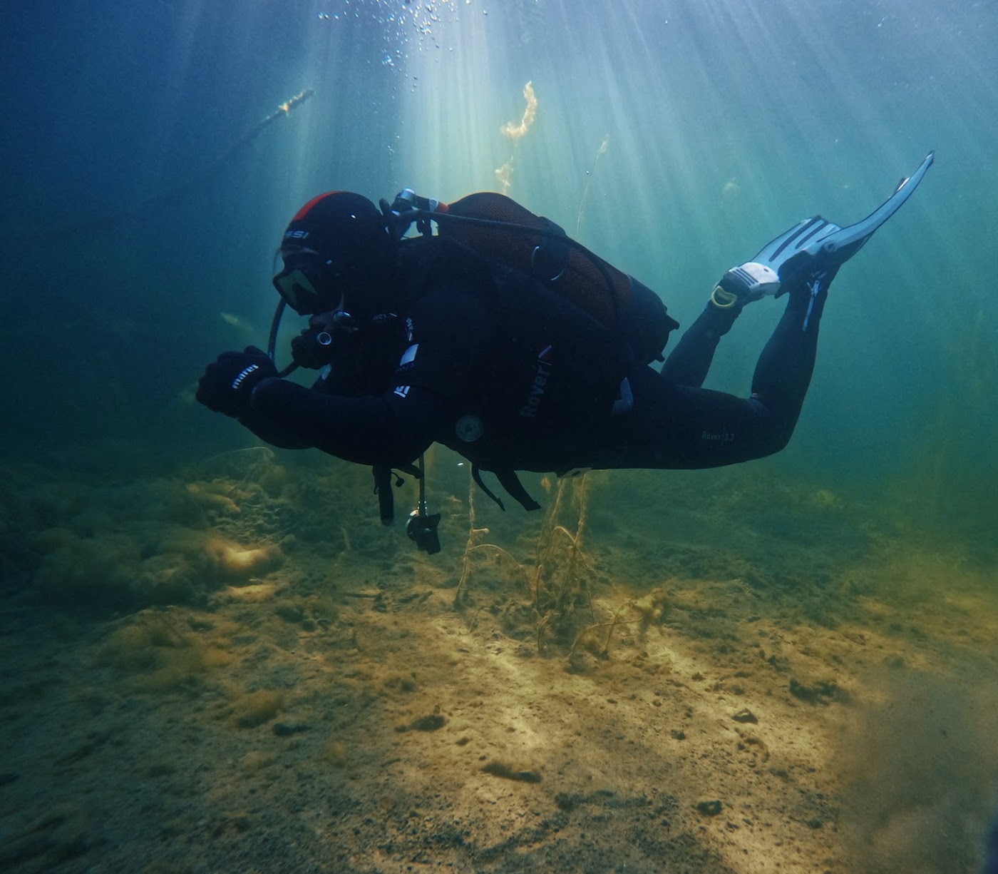 Divers.Life