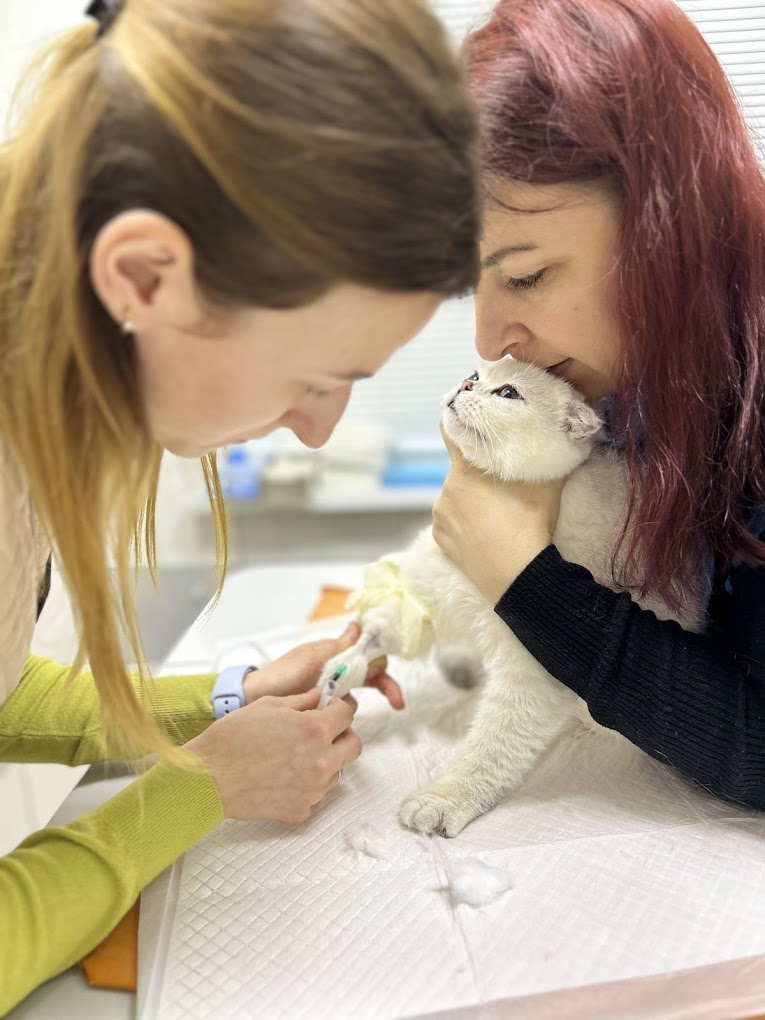 Animal Hospital