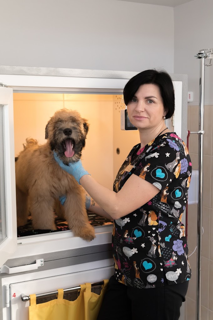 VETPET