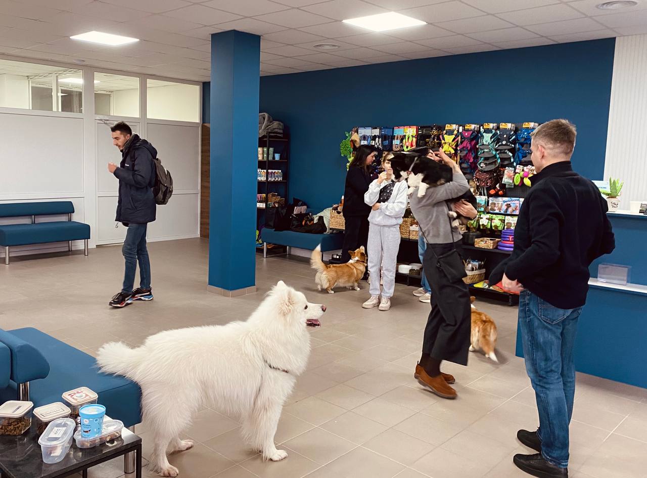 Pet Wealth