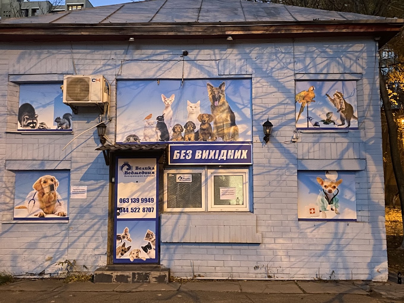 Велика Ведмедиця