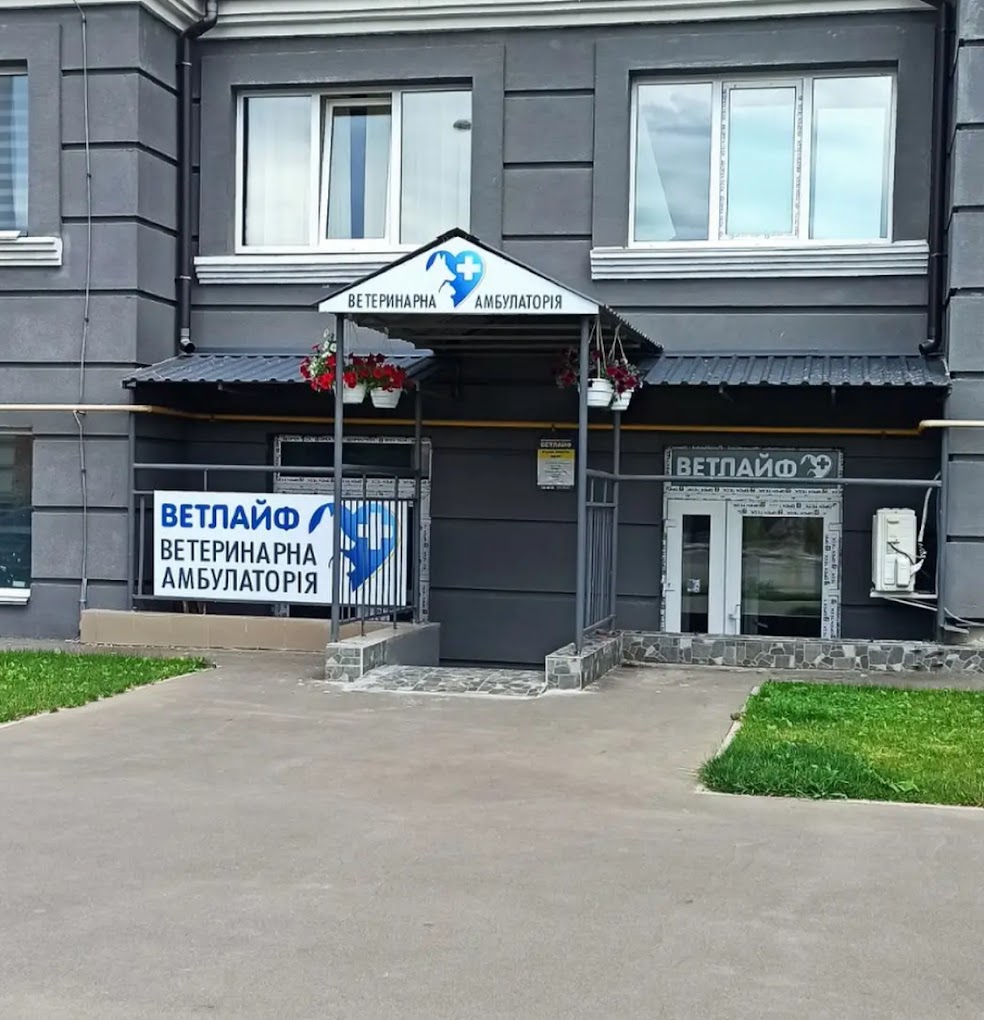 Ветлайф
