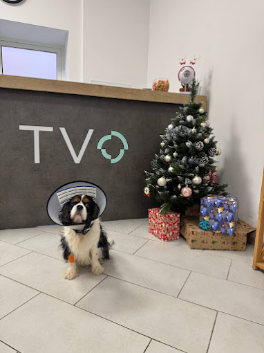 TVO