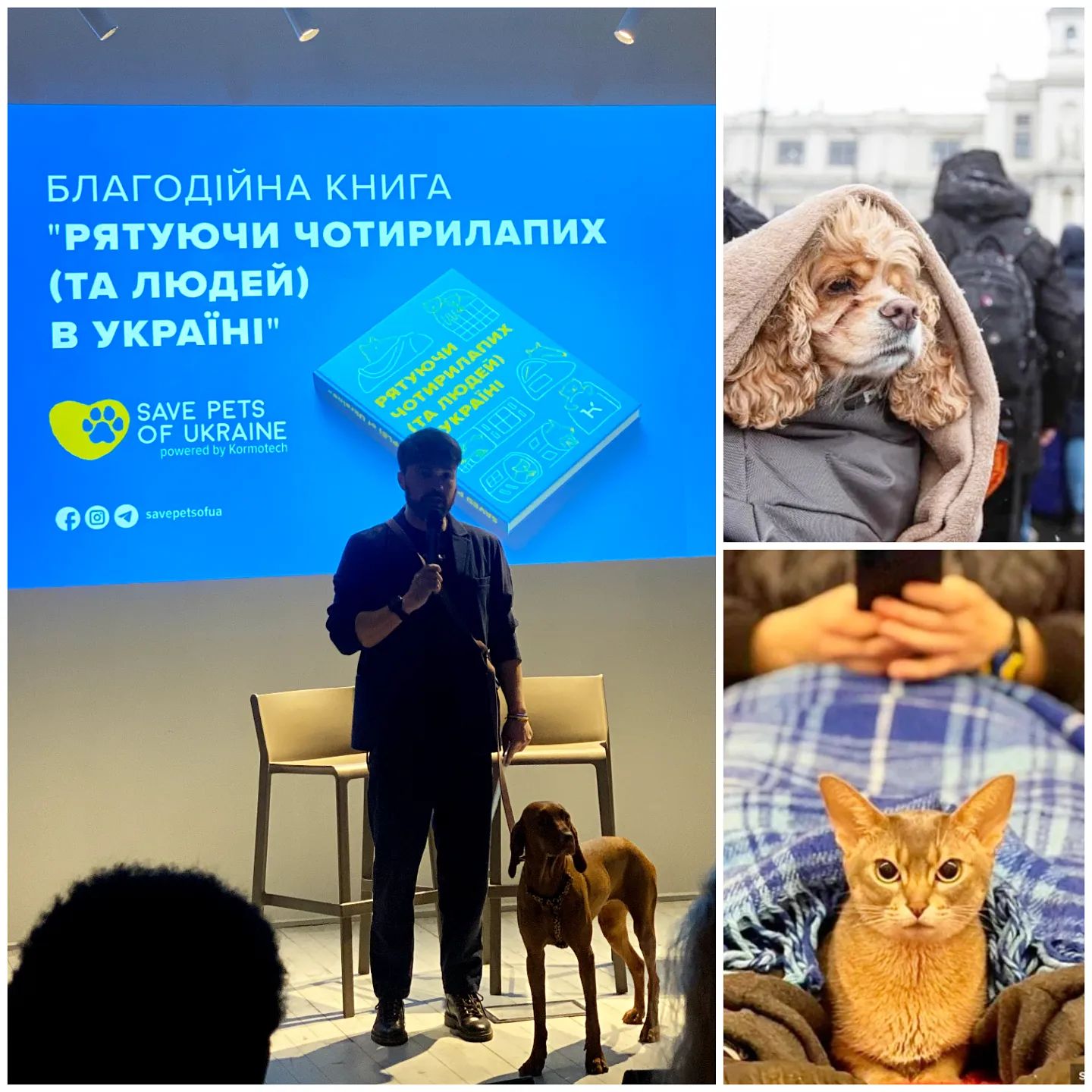 ГОЛДЕН-ВЕТ