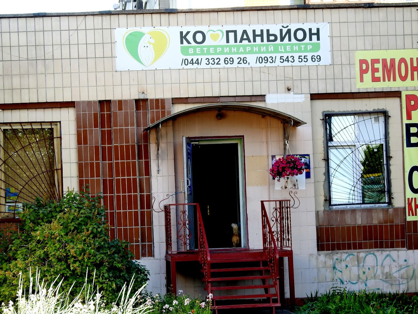 КОМПАНЬЙОН