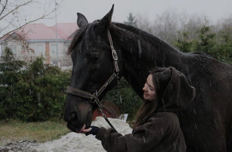 Dressage