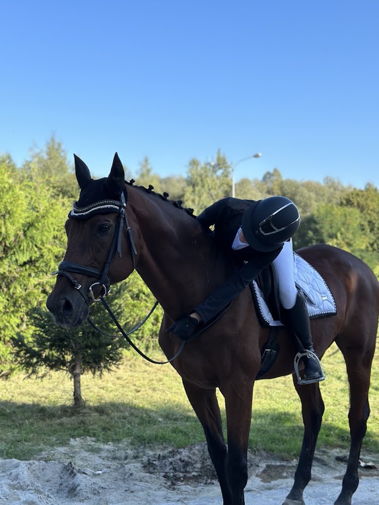 Dressage
