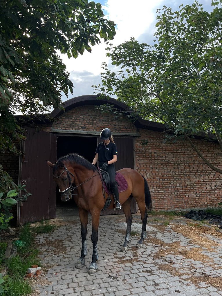 Dressage