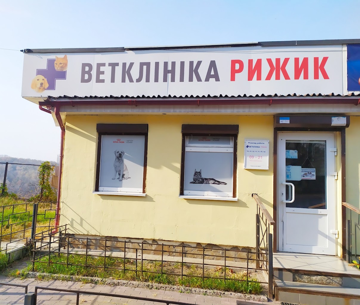 Рижик