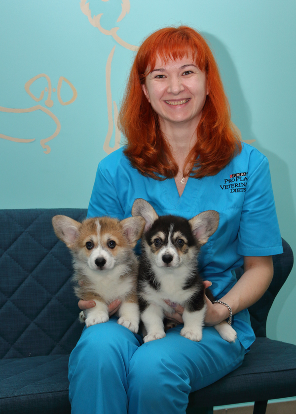 VetCityPets