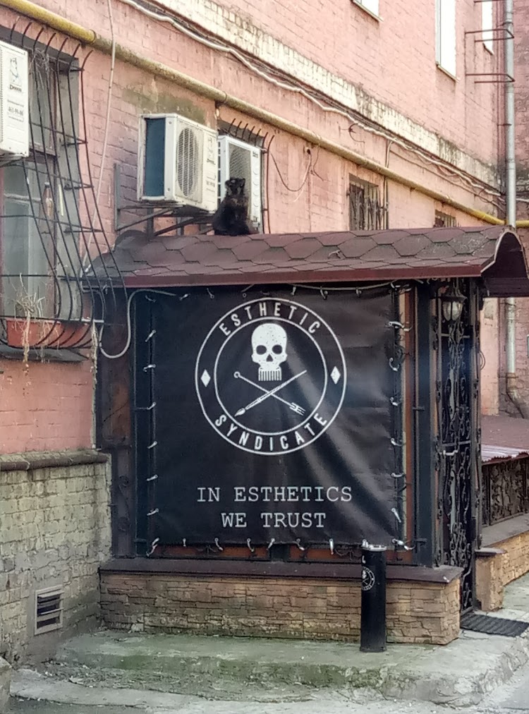 Esthetic Syndicate