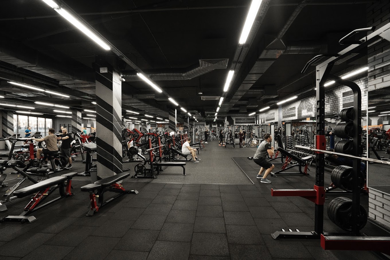 DOG & Grand CrossFit