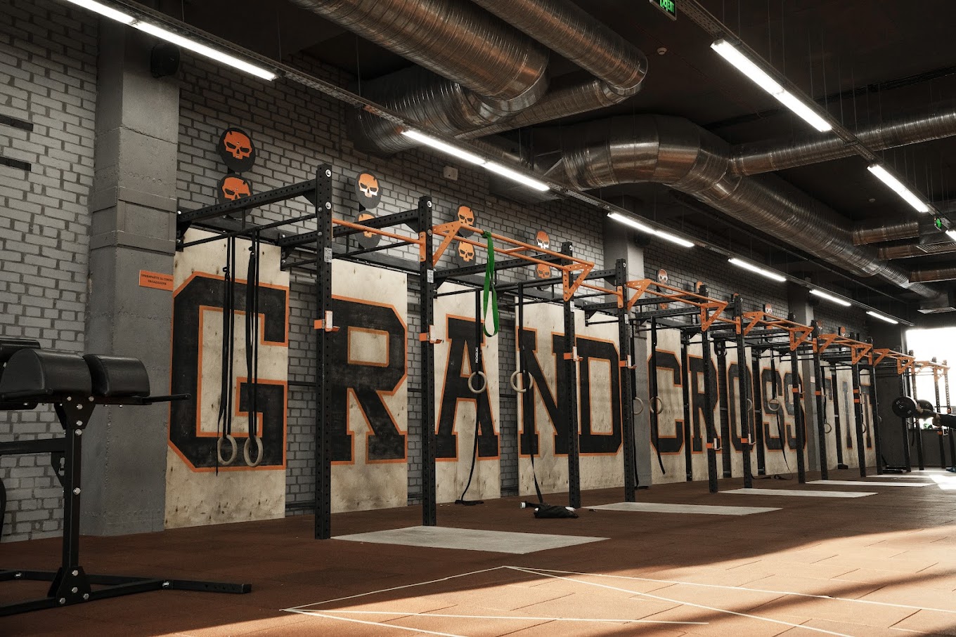 DOG & Grand CrossFit
