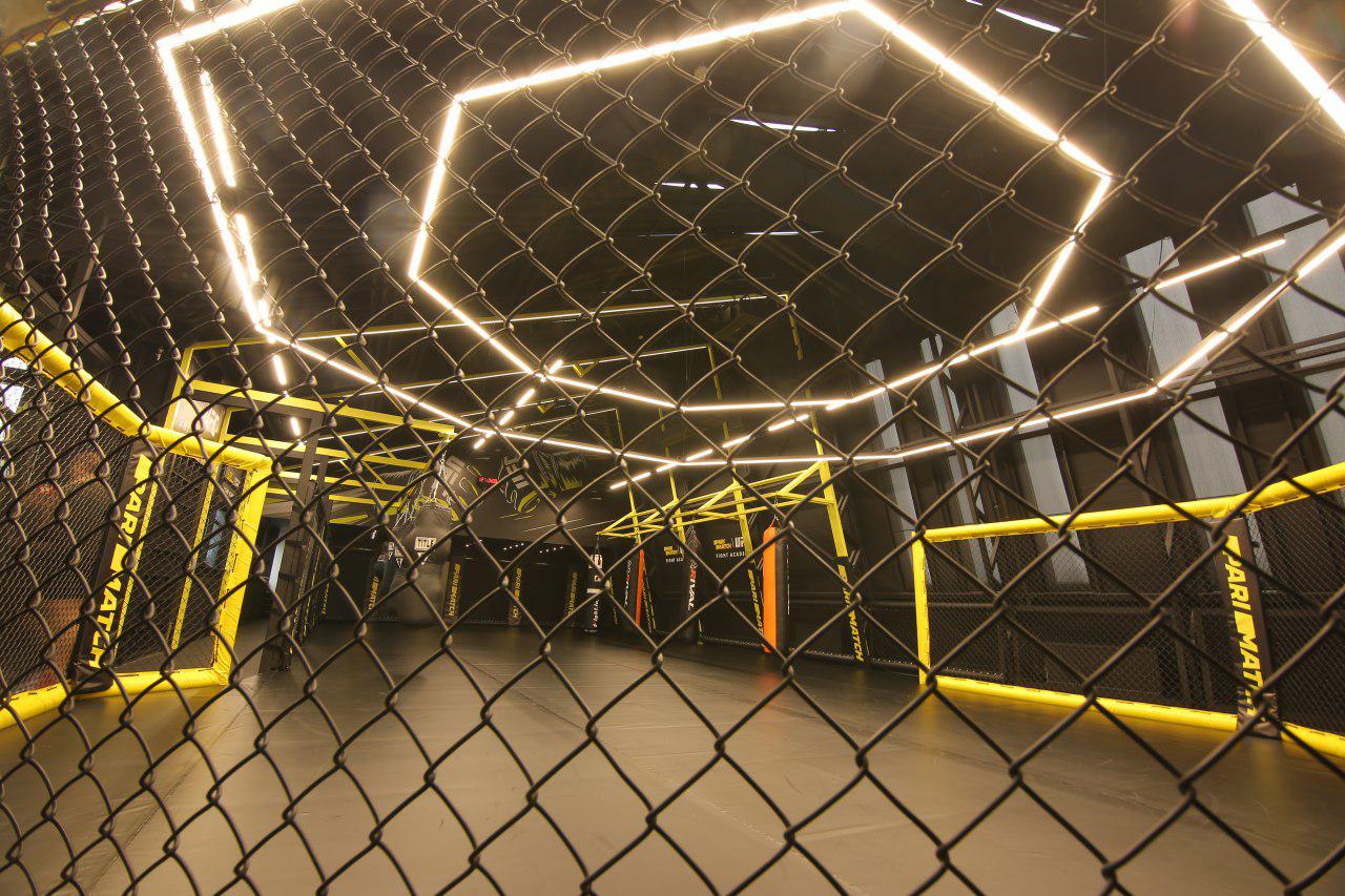 Fight Academy