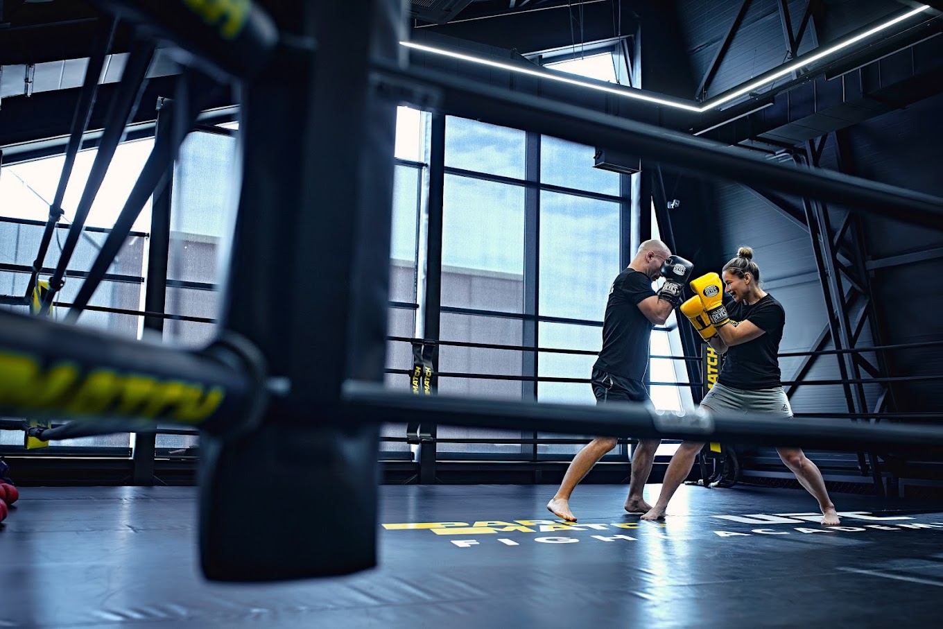 Fight Academy
