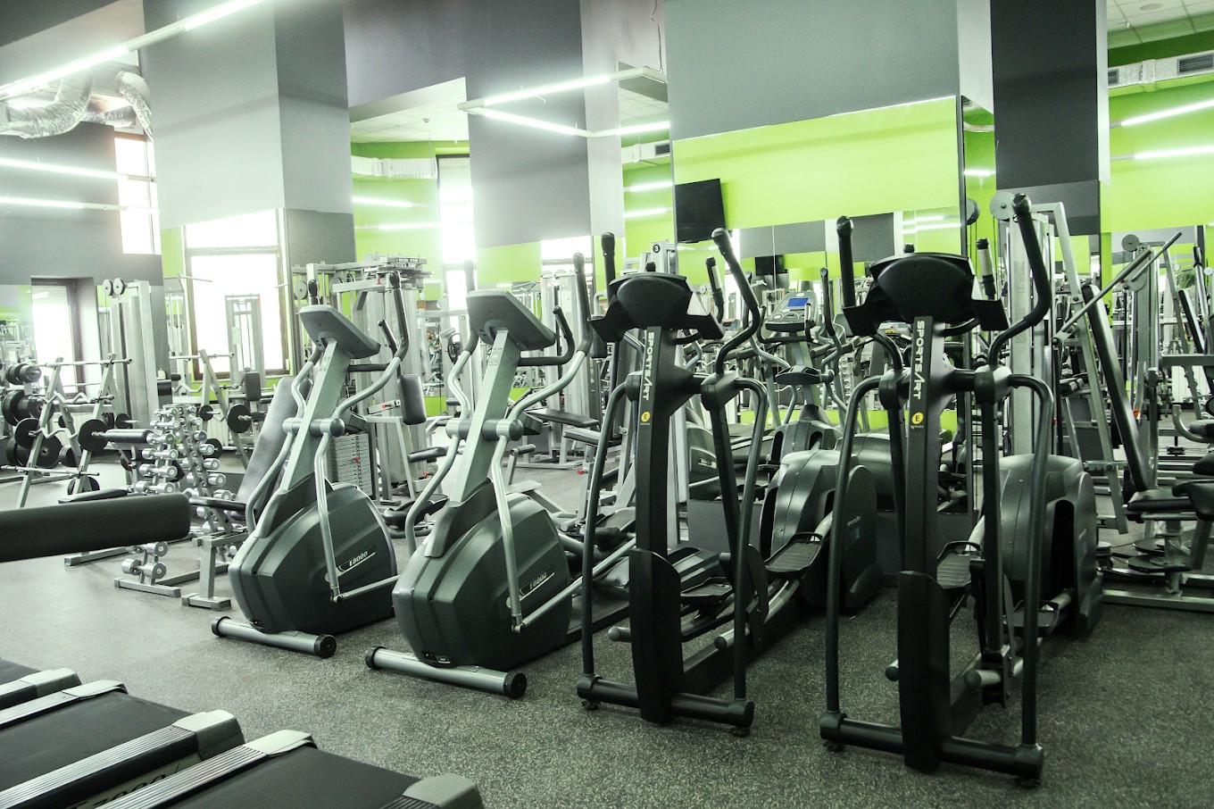 Love Fitness