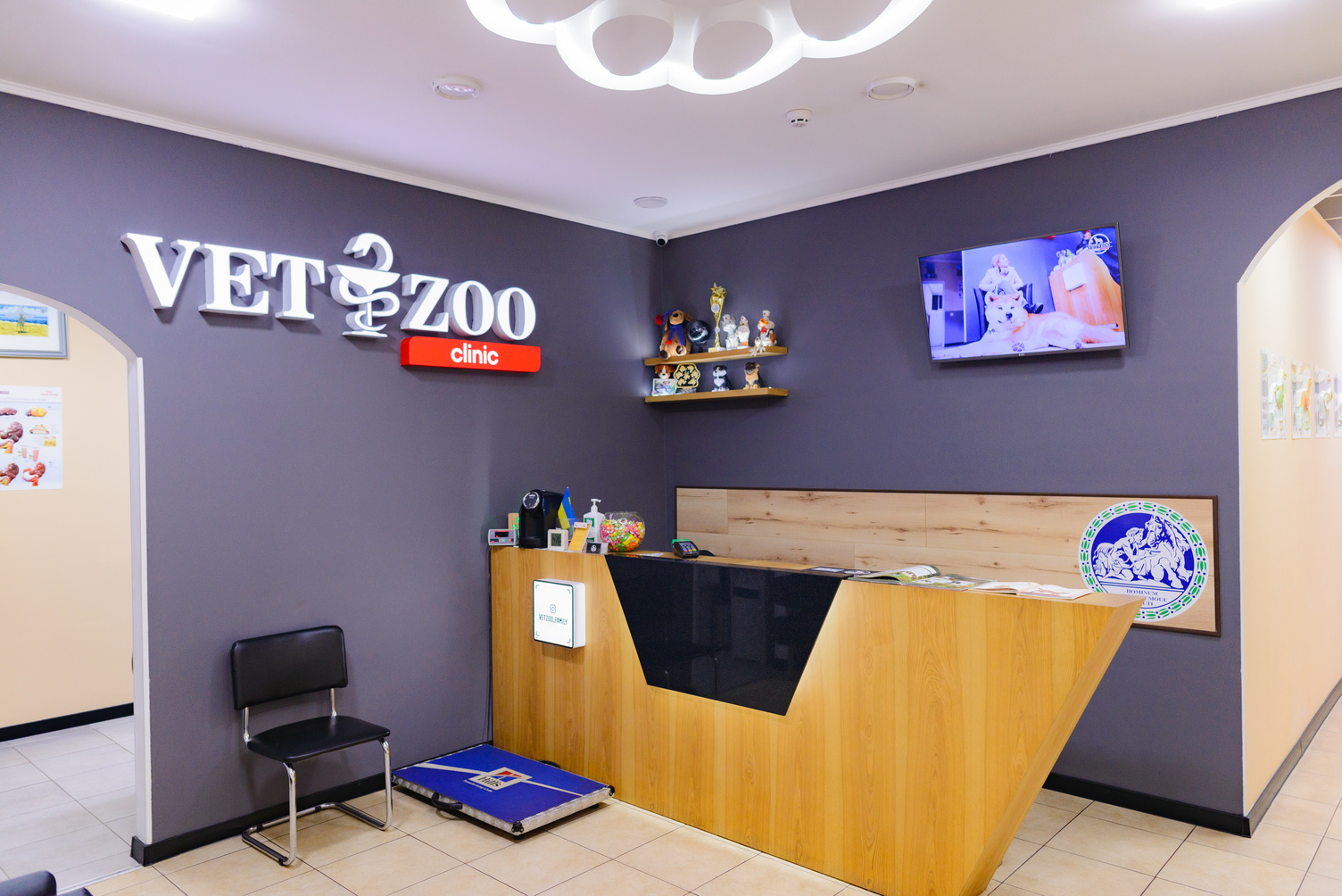 VETZOO clinic