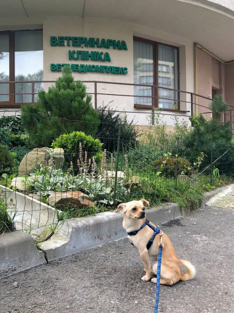 Ветмедкомплекс