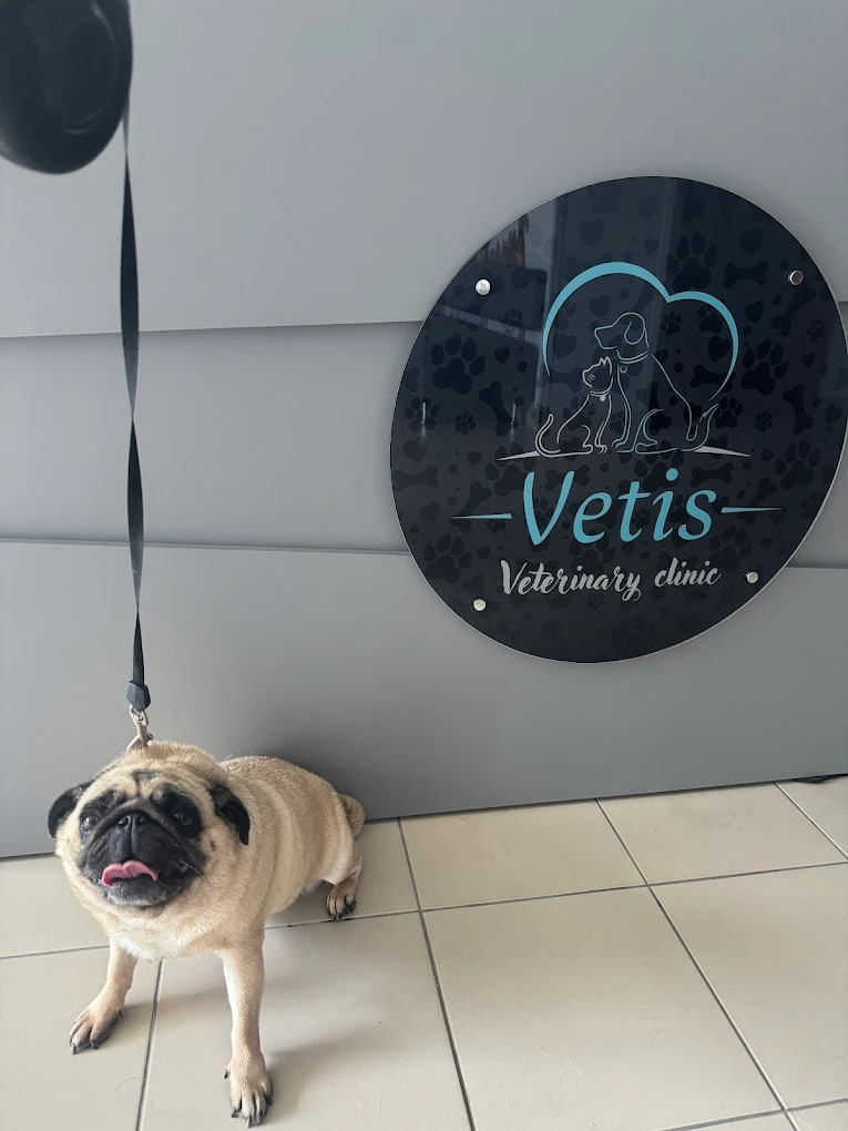 Vetis