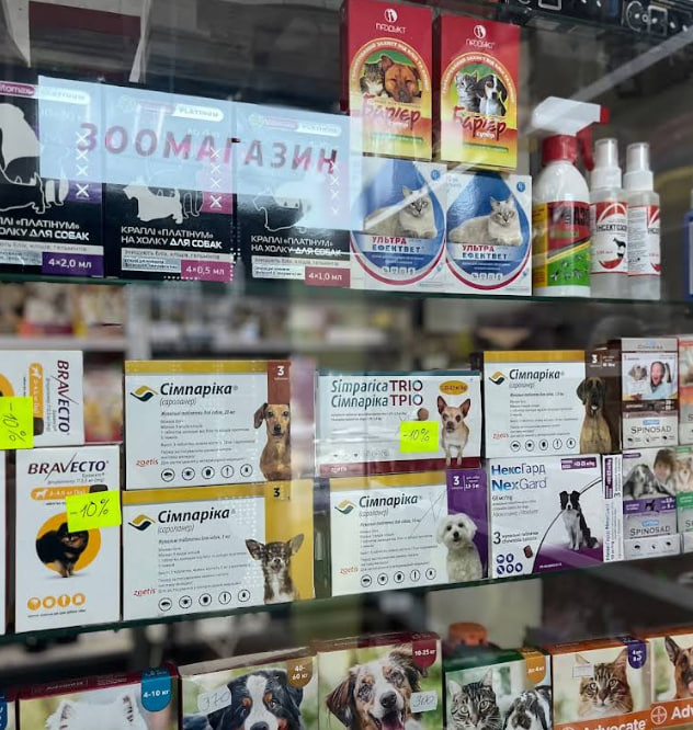 ZOOРодина