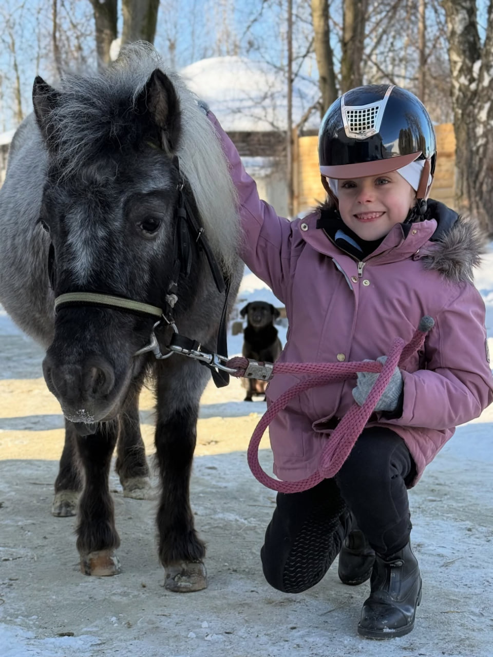 Lemberg Horse Club