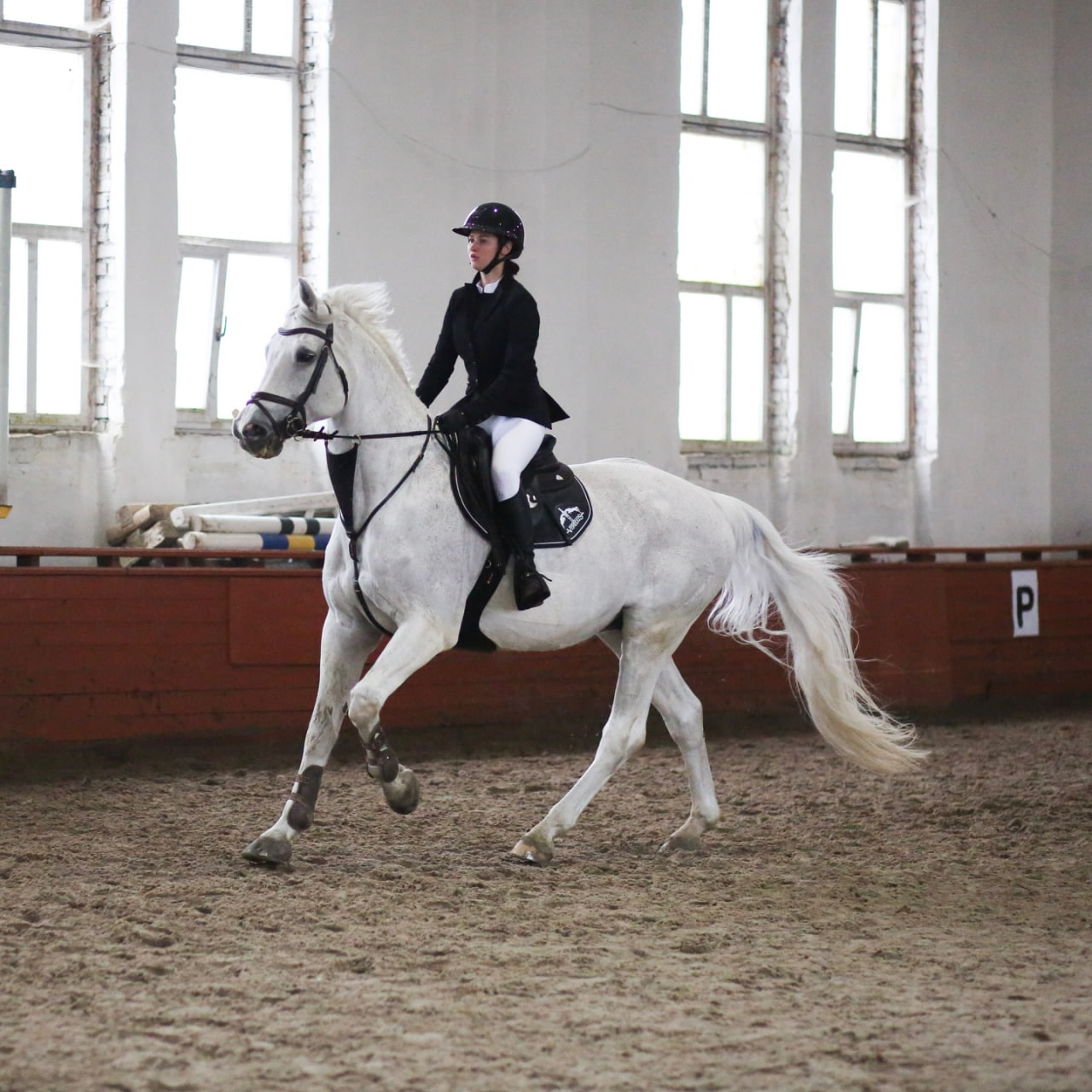 Lemberg Horse Club