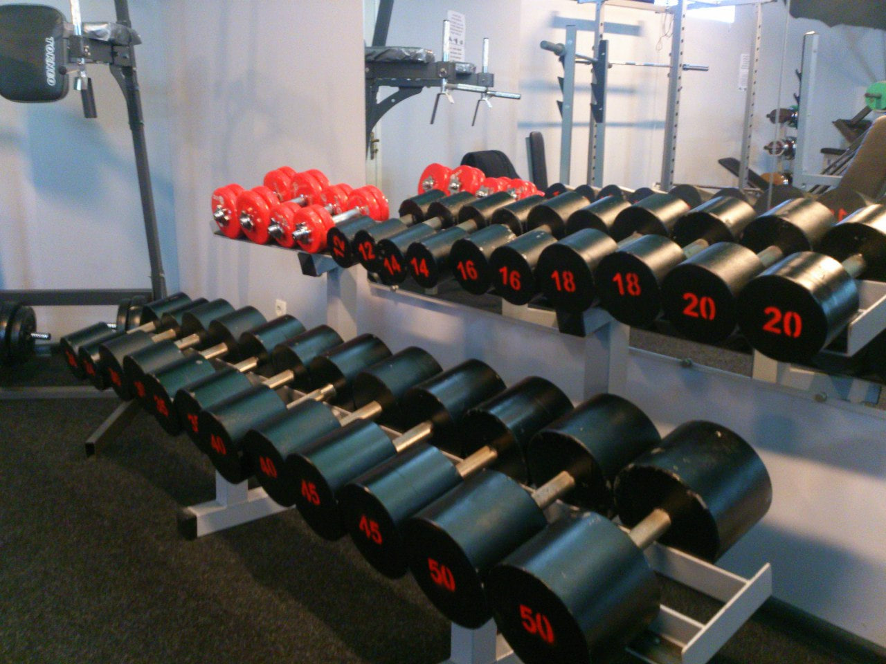 LeoFit
