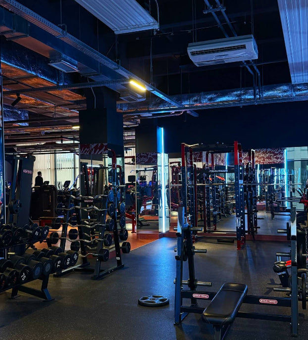Sport Life