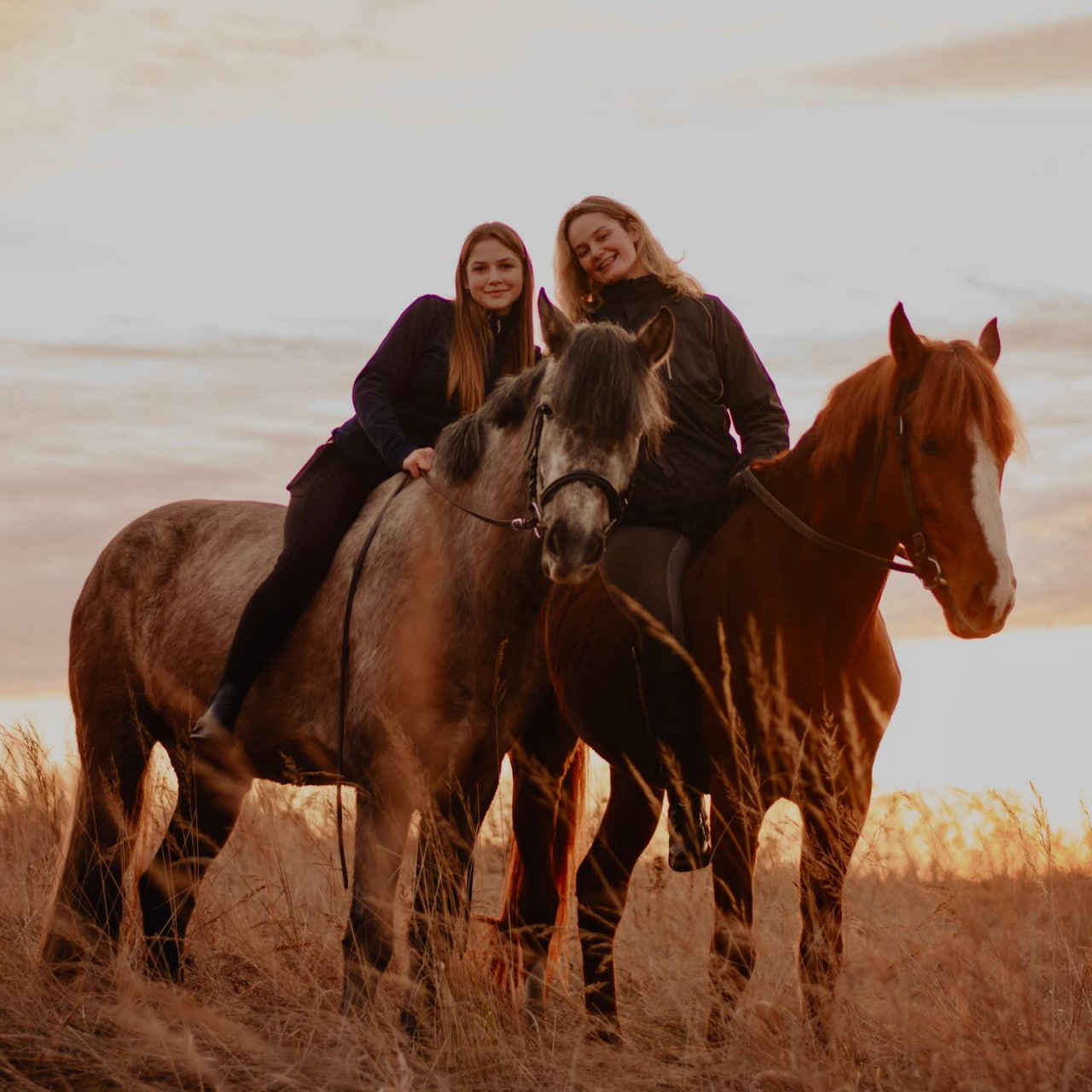 Horses Grand Amour