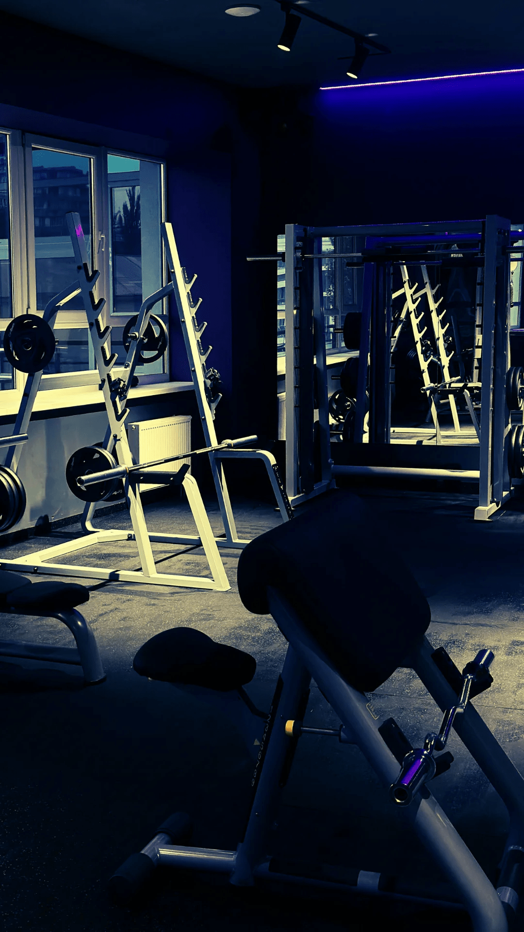 Purple Gym